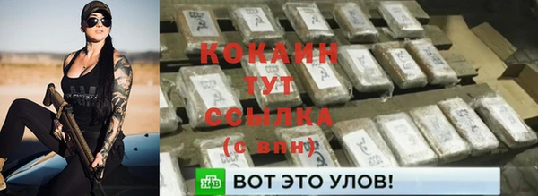 молекула духа Зеленодольск