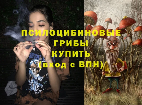 молекула духа Зеленодольск