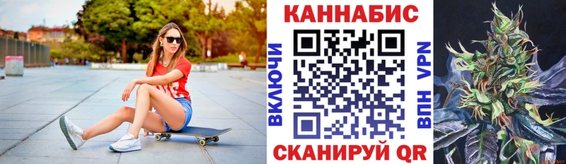 Конопля Bruce Banner  Купить где  Гатчина 